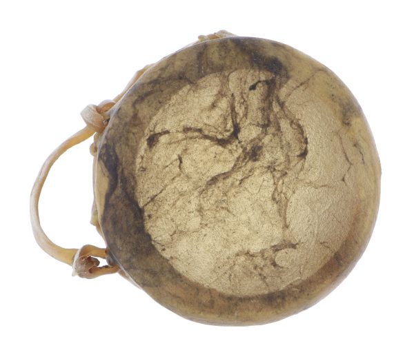 Taos Drum