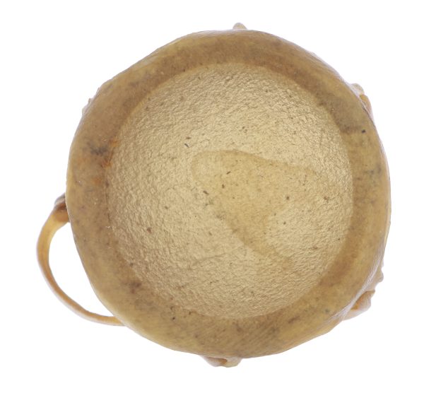 Taos Drum