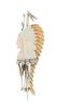 Navajo Pin
