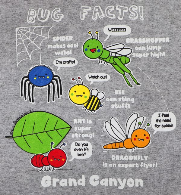 Toddler Bug Facts