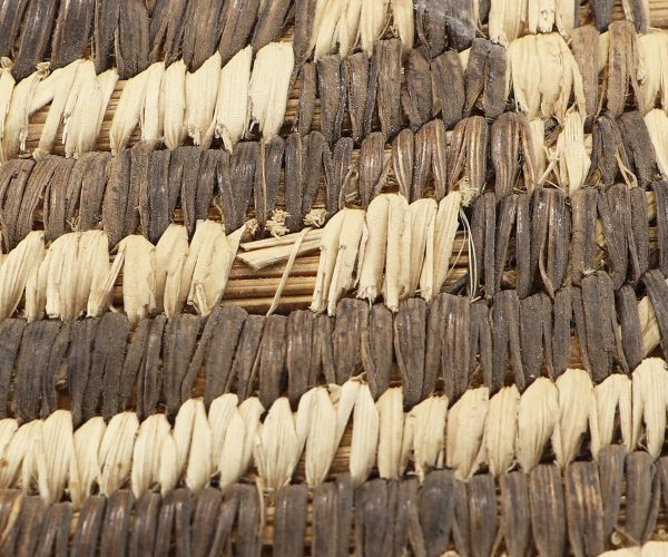 Tohono O'odham Basketry Tray