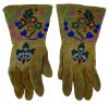 Northern Plains Gauntlets with Floral Designs