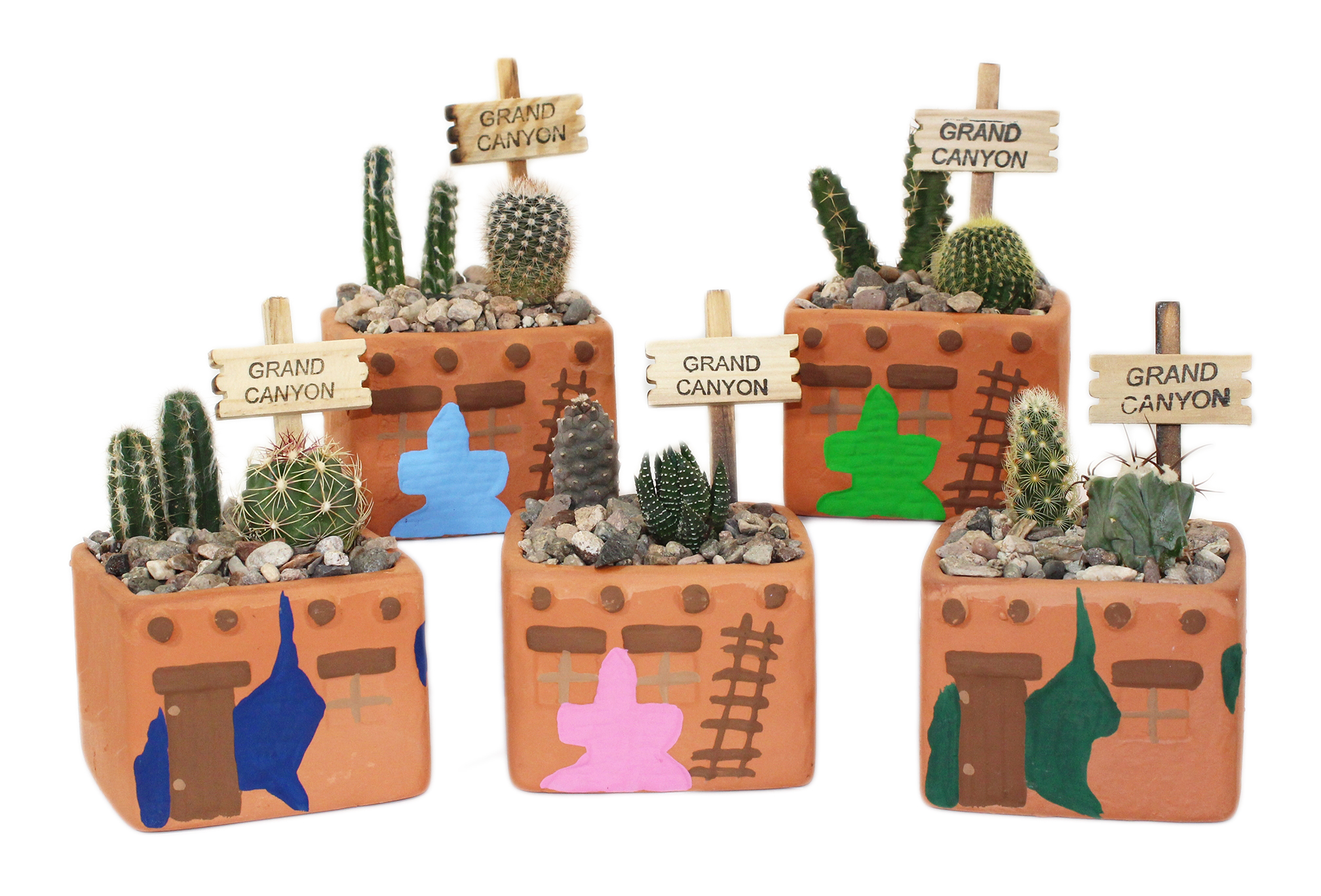 Arizona Cactus Garden