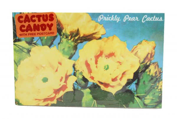 Postcard Box Cactus Candy